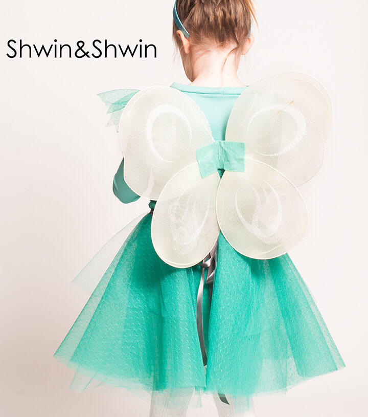 DIY Fairy Princess Costume