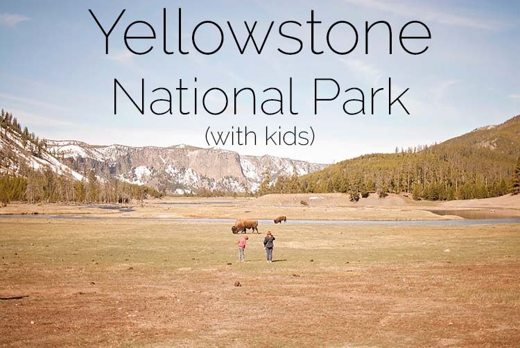 Yellowstone National Park with Kids