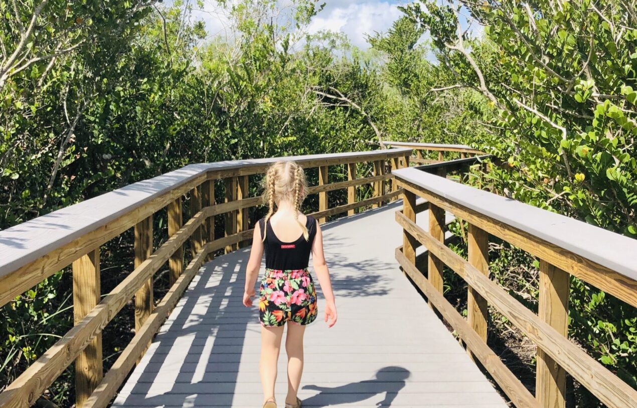 Everglades National Park || With Kids
